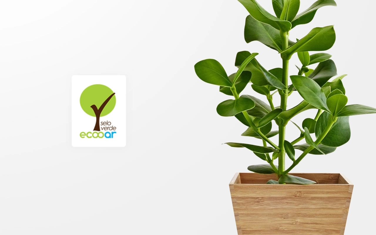 Projeto ECOOAR Projeto ECOOAR